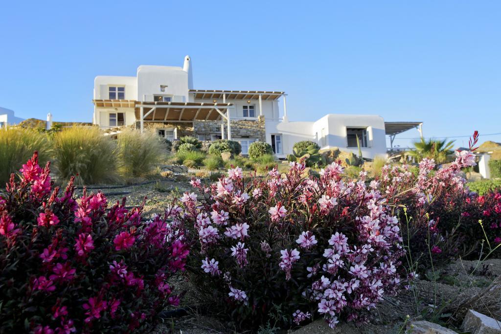 Salty Houses Playa Playa Kalo Livadi Exterior foto