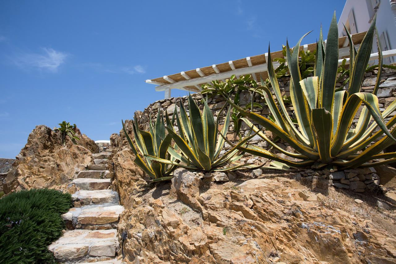Salty Houses Playa Playa Kalo Livadi Exterior foto